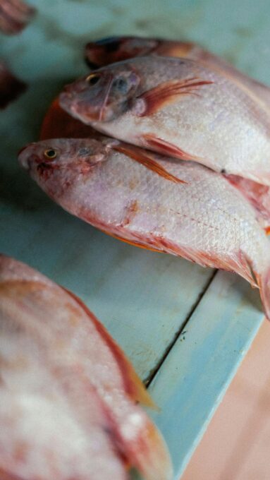 Peixe Tilápia